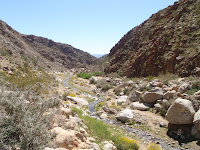 P3202061.JPG (Desert Sands Mobile Home Park, California, United States) Photo