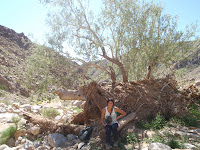 P3202045.JPG (Desert Sands Mobile Home Park, California, United States) Photo