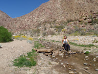P3202051.JPG (Desert Sands Mobile Home Park, California, United States) Photo