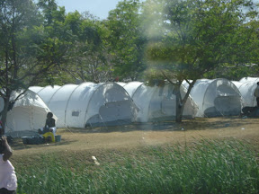 DSC02734.jpg