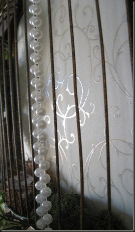 IMG_1023 IMG_1023