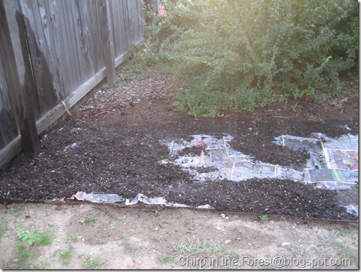 IMG_2544 IMG_2544