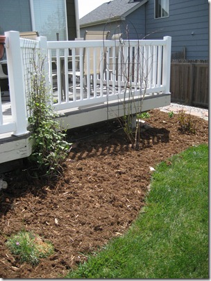 or "Monkey hair" mulch or "Monkey hair" mulch