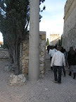 IMG_1143.JPG