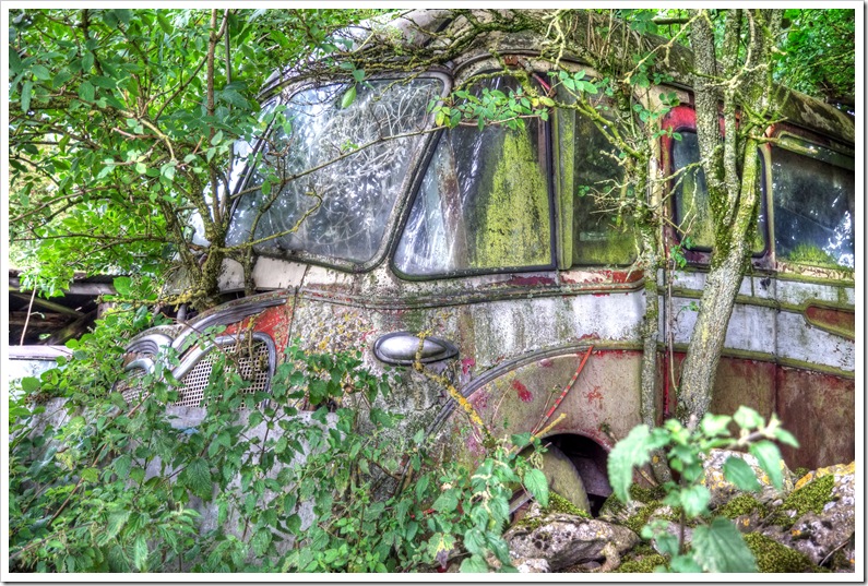 old coach being reclaimed by nature in peak district scrapyard