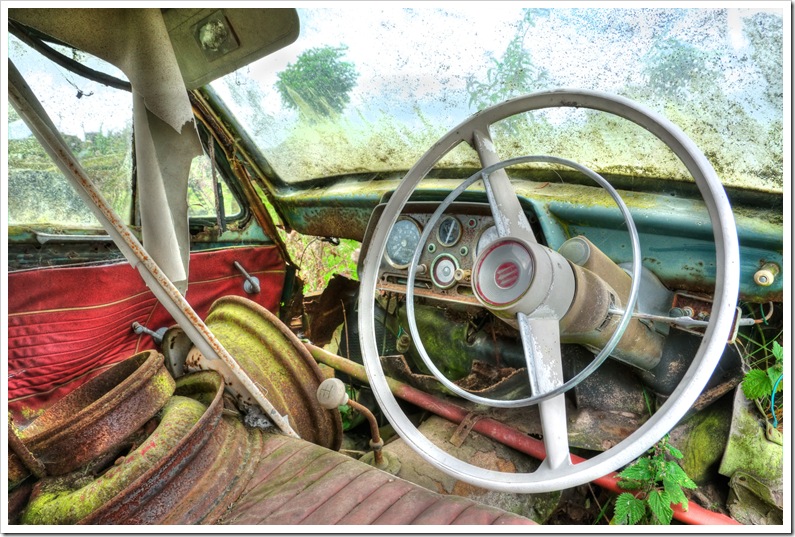 interior of old car rotting in situ