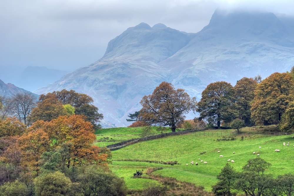 [view from little langdale tarn to the langdale pikes[5].jpg]