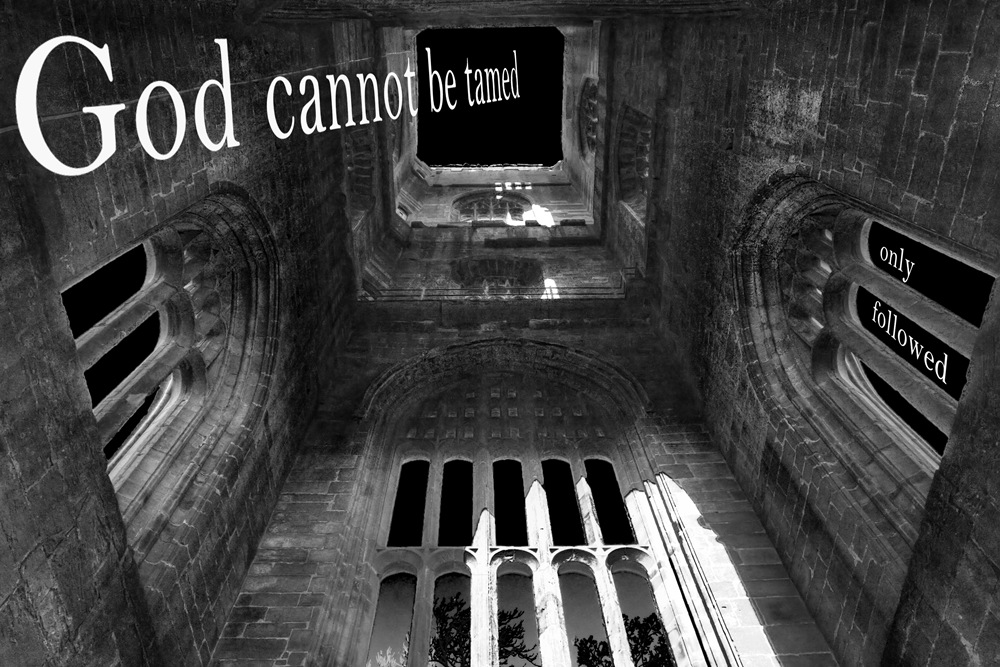 [god cannot be tamed only followed copy[4].jpg]