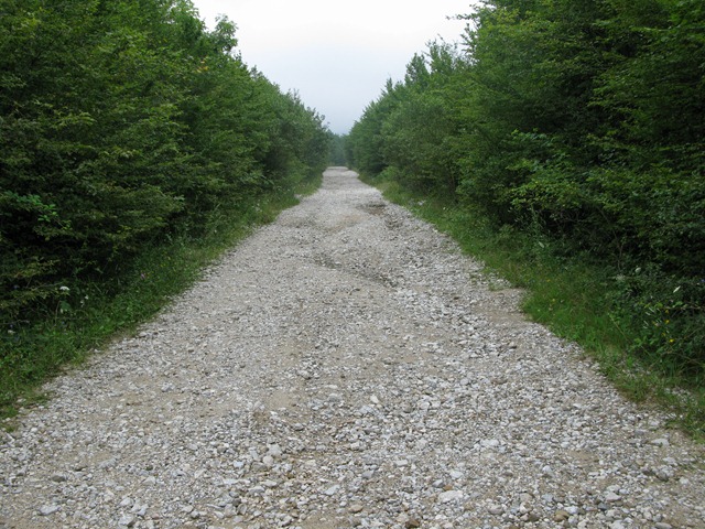 [IMG_50303.jpg]