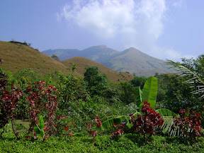 The path to the top