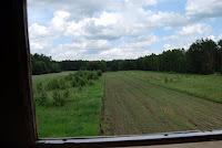 DSC_0952.JPG Photo