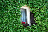 DSC_0947.JPG Photo