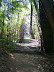Foto7. Ponte di legno a Padernello