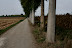 Da Offlaga verso Corticelle (tratto in sterrato).