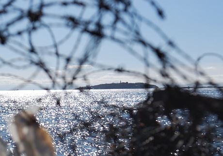 [barbed wire2[10].jpg]
