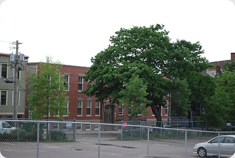 queen street july 5