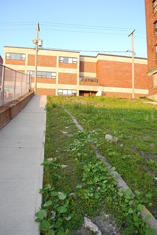 [curbs on murder hill[4].jpg]
