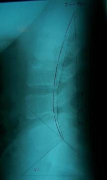 [clip_image002[4].jpg]