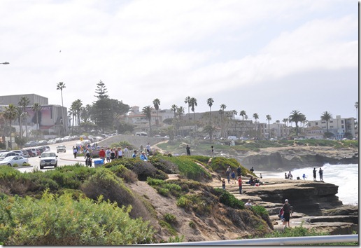 DSC_0167 DSC_0167
