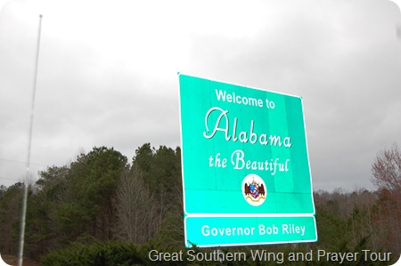 DSC_0008 DSC_0008