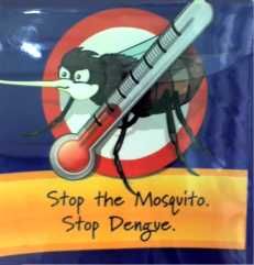 prevent dengue