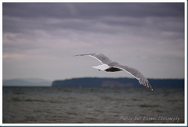 2010 07 12_0501