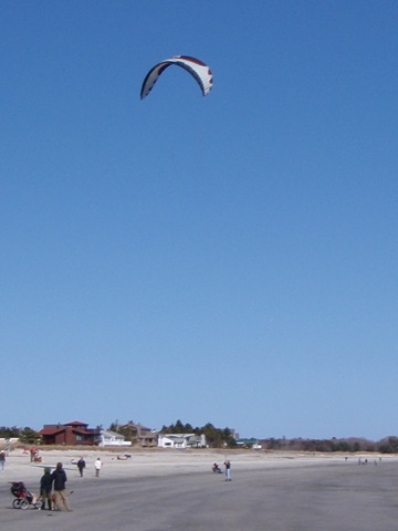 [parasailer[3].jpg]