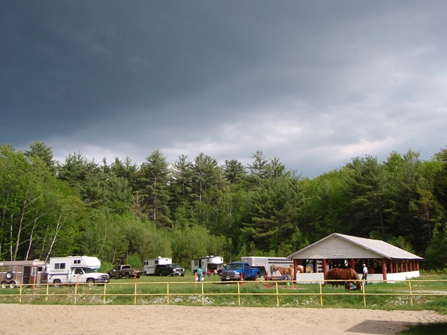 [P5210433[9].jpg]