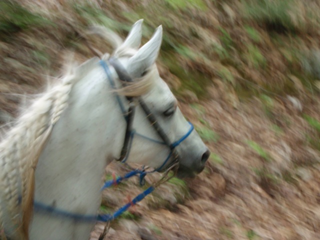 [P5210439[8].jpg]