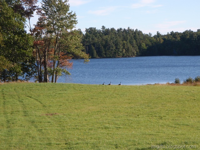 [P9190876[3].jpg]