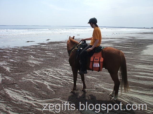 [April10-Beach 009[2].jpg]
