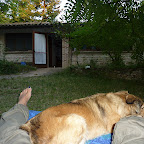 P1010699 copia.JPG