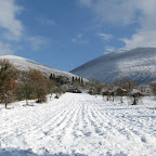 IMG_9193.jpg