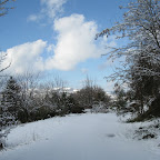 IMG_9269.jpg