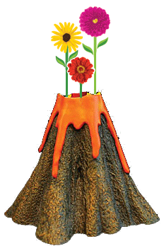 [flowervolcano[4].gif]