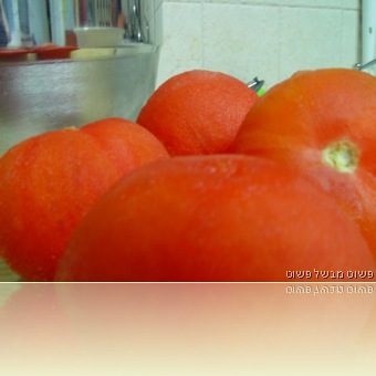 DSC04331
