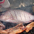 P1060350, Palawan, Puerto Princesa, Honda Bay, Pandan Island.JPG, P1060350, Palawan, Puerto Princesa, Honda Bay, Pandan Island.JPG, Philippines 2 Palawan