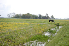 "Het kleine Paradijs" "natuur in de omgeving" lente
