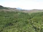 gonguferd 034.jpg