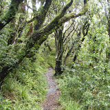 PC245762.JPG