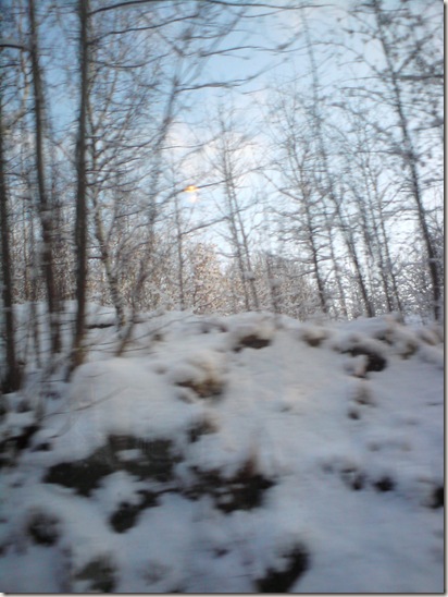DSC01316