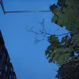 DSC01595.JPG