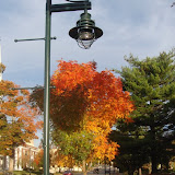 DSC01903.JPG