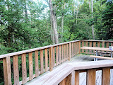 View from the door of the yurt