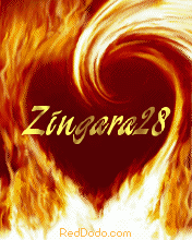 Zingara28
