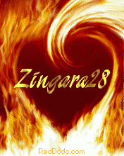 Zingara28 Zingara28