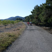 SDC11392.JPG