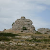 SDC11446.JPG