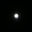 DSC07261.JPG