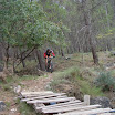 DSC08781.JPG